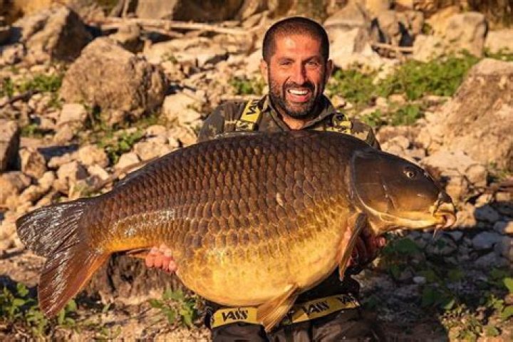 
Ali Hamidi Height, Weight, Net Worth, Age, Birthday, Wikipedia, Who, Nationality, Biography 