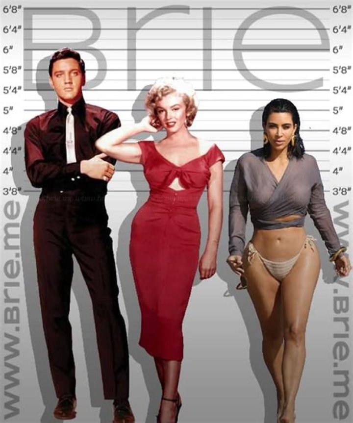 Ashley Monroe Height, Weight, Net Worth, Age, Birthday, Wikipedia, Who, Instagram, Biography