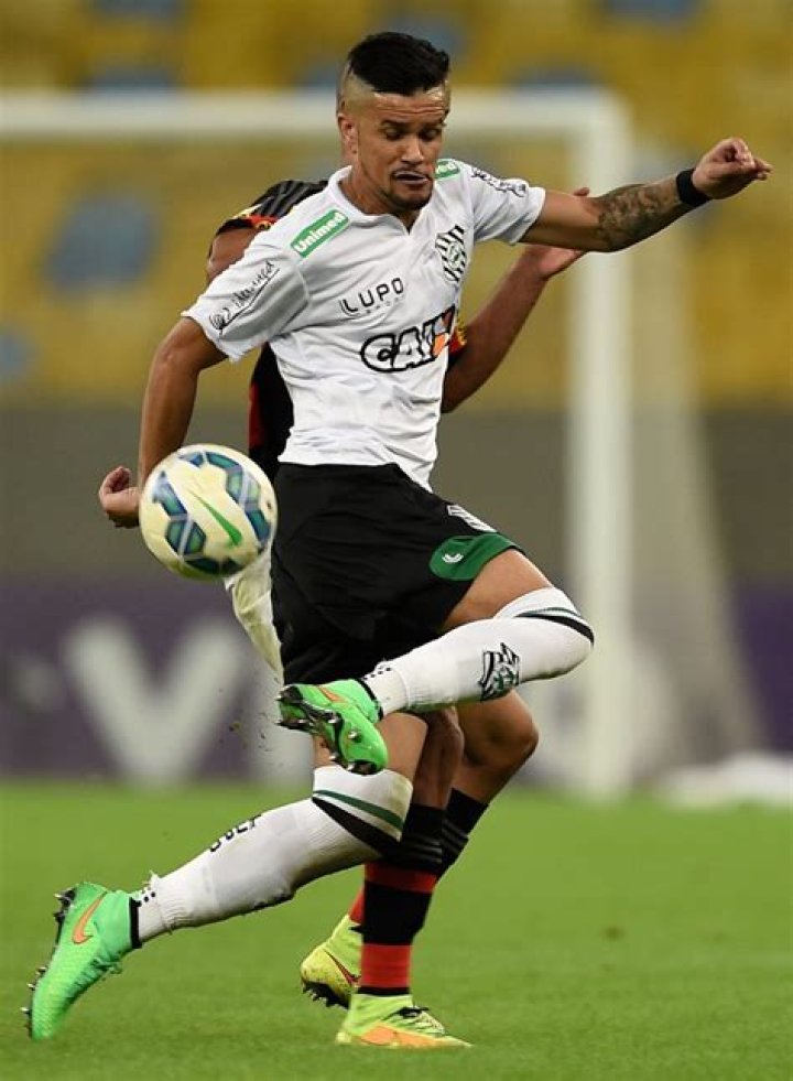 Becca Bastos Height, Weight, Net Worth, Age, Birthday, Wikipedia, Who, Nationality, Biography