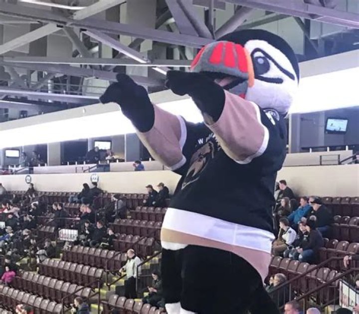 
Buddy The Puffin Died – Who Was Chris Abbott Hockey? Death Cause and More 