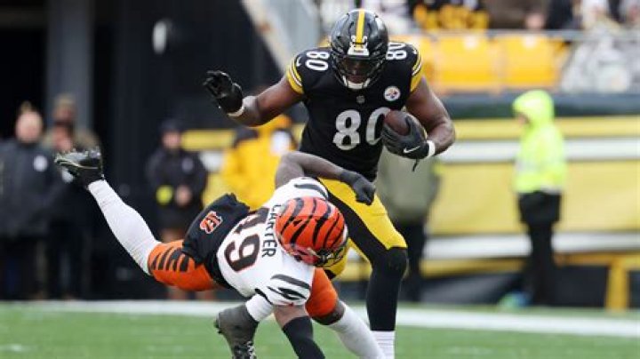 Darnell Palma Height, Weight, Net Worth, Age, Birthday, Wikipedia, Who, Nationality, Biography