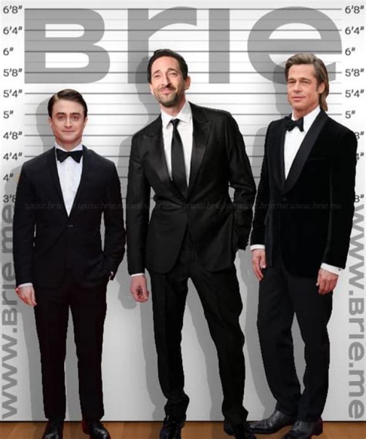 
Dave Brody Height, Weight, Net Worth, Age, Birthday, Wikipedia, Who, Nationality, Biography 