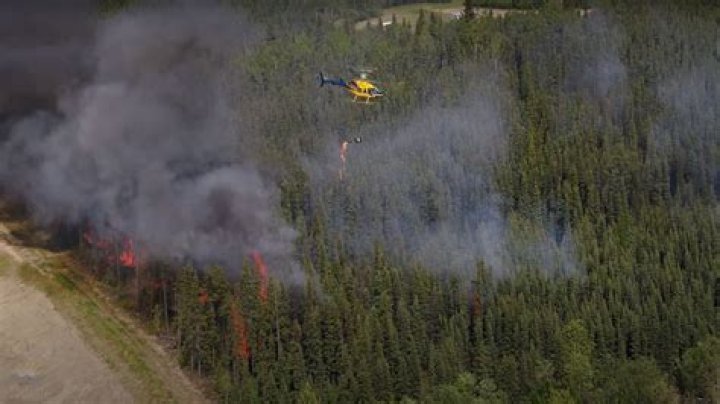 
Did helicopters start the Canada wildfire? Viral video debunked 