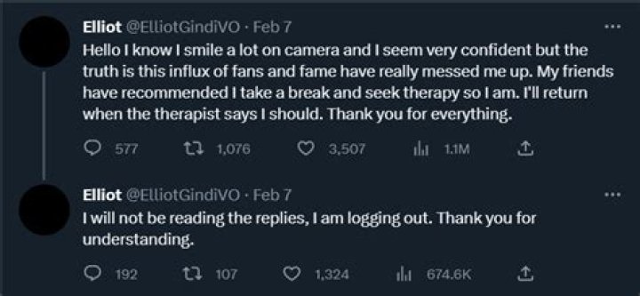 
Elliot Gindi | Allegations, Tighnari Voice Actor Controversy 