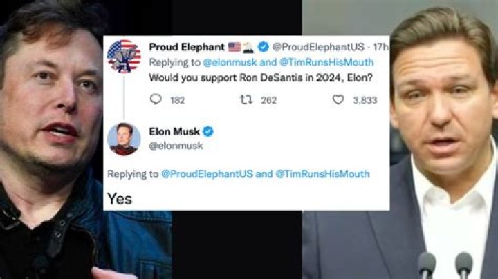 
Elon Musk Says He Would Support Ron DeSantis in 2024 Presidential Elections 