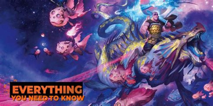 
Here’s Everything You Need to Know About Why Is Charla Nash’s Face So Different 