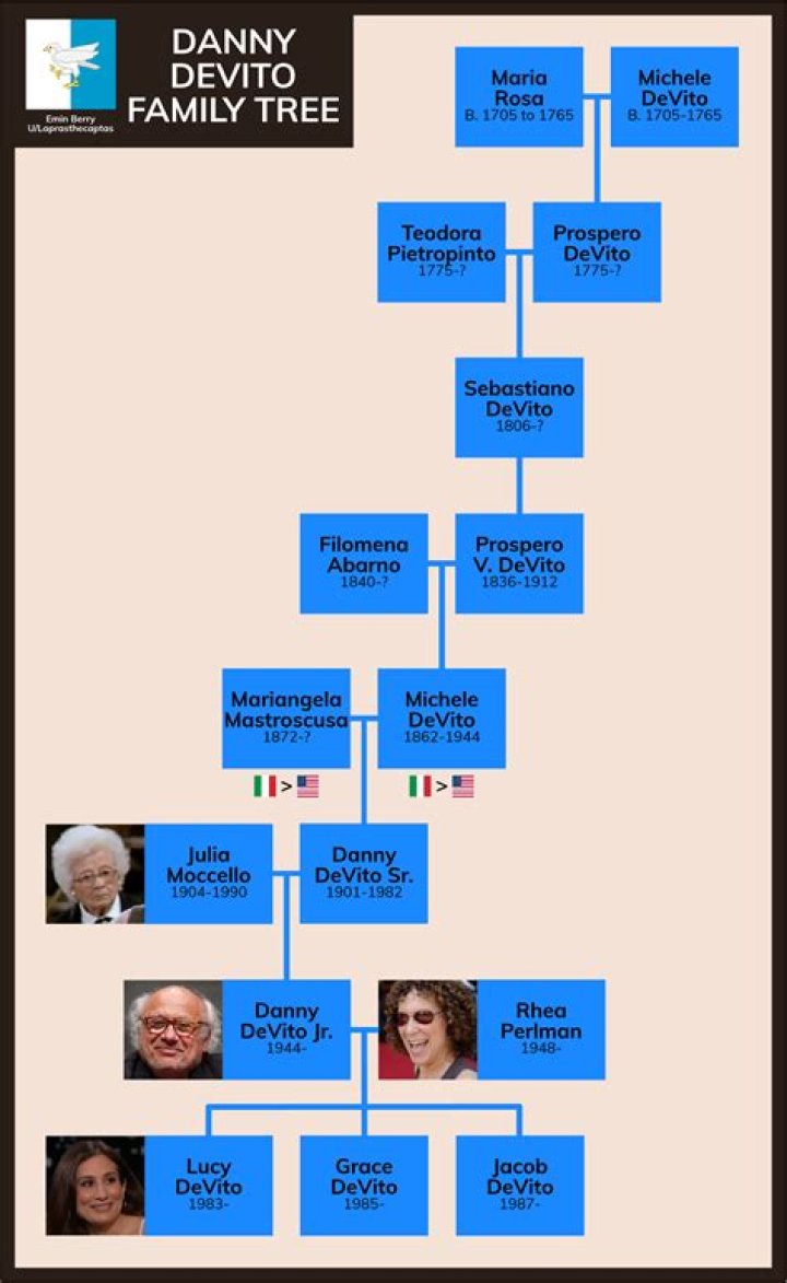 
How Is Joe Devito Related To Danny Devito? Family Links Explained 