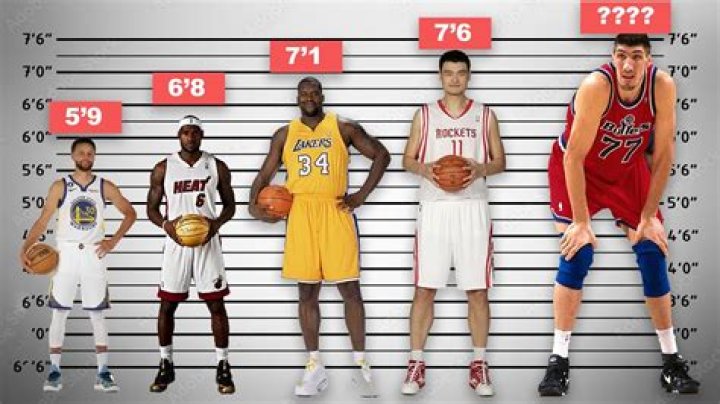 
How Tall Is Erickson Bans? Details To Know About The Basketball Player 