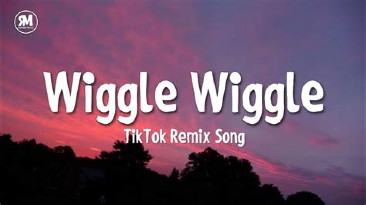 I Like To See You Wiggle Wiggle For Sure TikTok Song Lyrics & Meaning