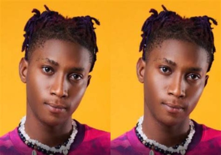 
I Used To Have Money But I Rushed Things- Bella Shmurda Reveals 