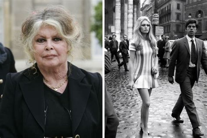 Is Brigitte Bardot Racist? What Did She Say About Muslims? Hatred Controversy Explained
