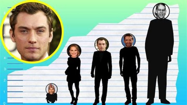 Jude Law Height, Weight, Net Worth, Age, Birthday, Wikipedia, Who, Nationality, Biography