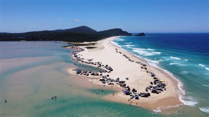 
Logan Losurdo Found Dead At Soldiers Beach As Remains Finally Discovered 