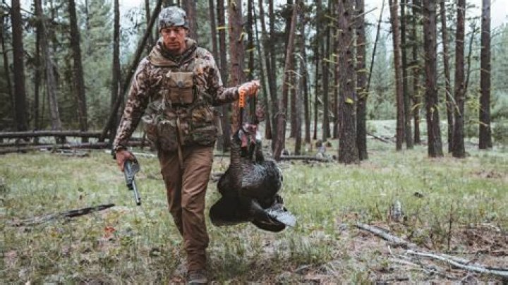 MeatEater Season 11: Renewed or Cancelled?