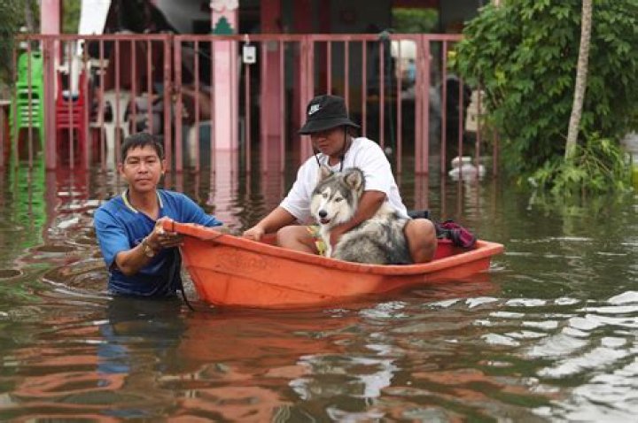 
More than 5,000 people affected by floods in Thailand 