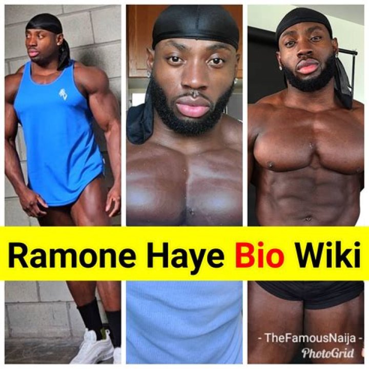 Patrick Haye Height, Weight, Net Worth, Age, Birthday, Wikipedia, Who, Nationality, Biography