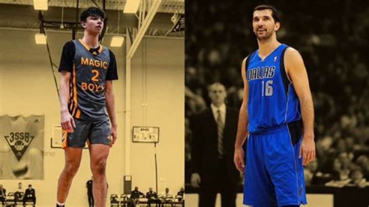 Peja Stojakovic Height, Weight, Net Worth, Age, Birthday, Wikipedia, Who, Instagram, Biography