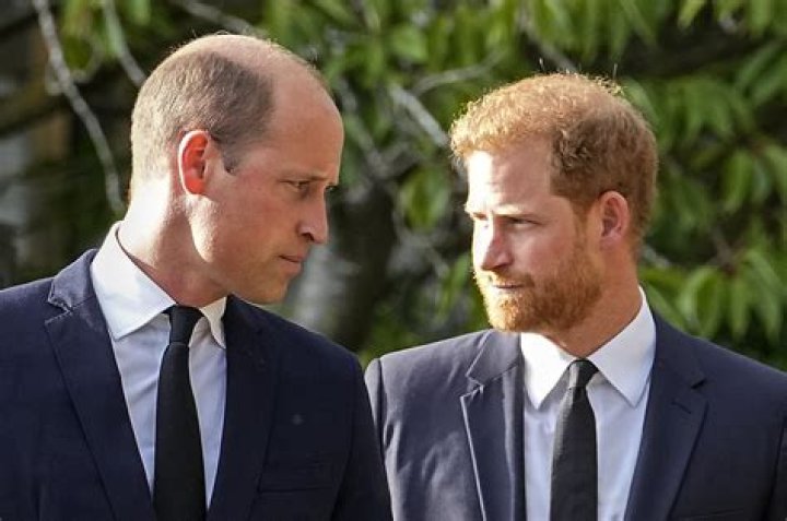 
Prince William and Prince Harry Unite in Special Message for Charity Close to Their Hearts 