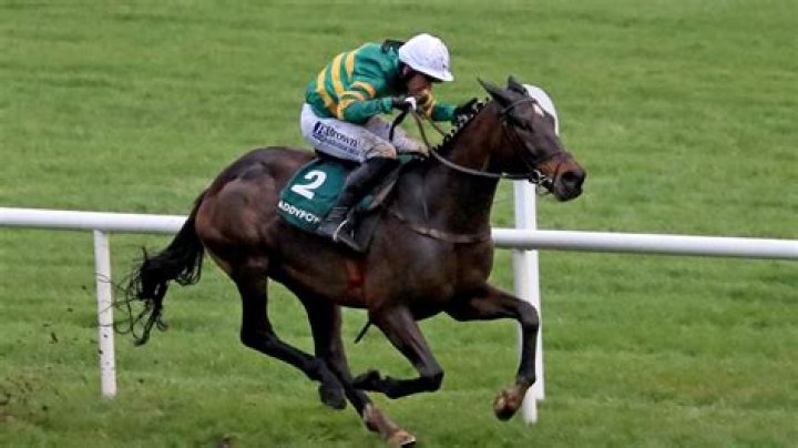 
Ricci Rich Horse Owner Wikipedia & Biography, ITV Racing Highlights His Rages To Riches Story 