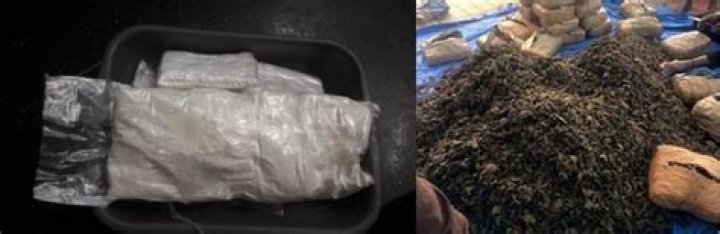 
Rising ganja, brown sugar hauls in Odisha point to a thriving market 