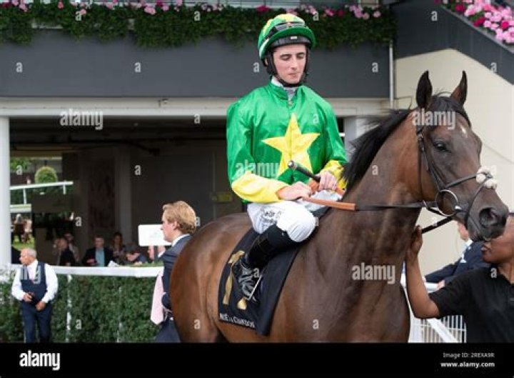 
Rossa Ryan Height, Weight, Net Worth, Age, Birthday, Wikipedia, Who, Nationality, Biography 