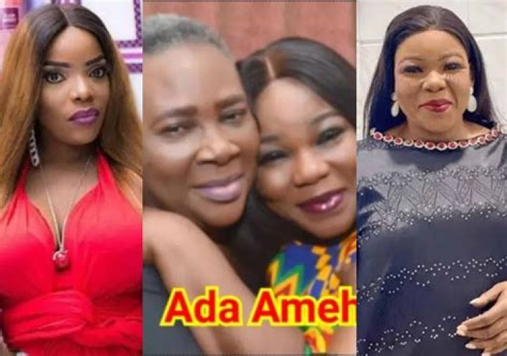 
‘Speechless! Where are the celebrities?’ – Fans react as Empress Njamah posts names of those who contributed to Ada Ameh’s mother’s upkeep 