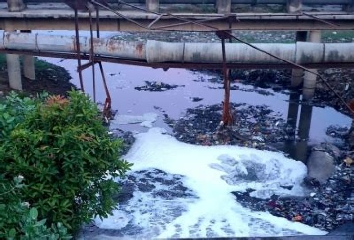 
TN Pollution control board begins crackdown on untreated sewage 