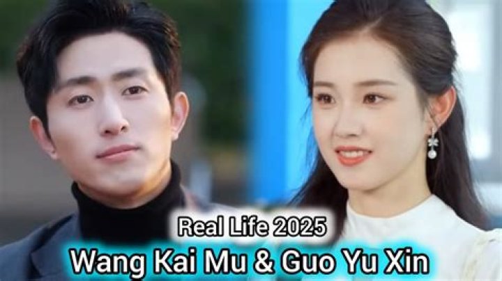 Wang Xin Height, Weight, Net Worth, Age, Birthday, Wikipedia, Who, Instagram, Biography