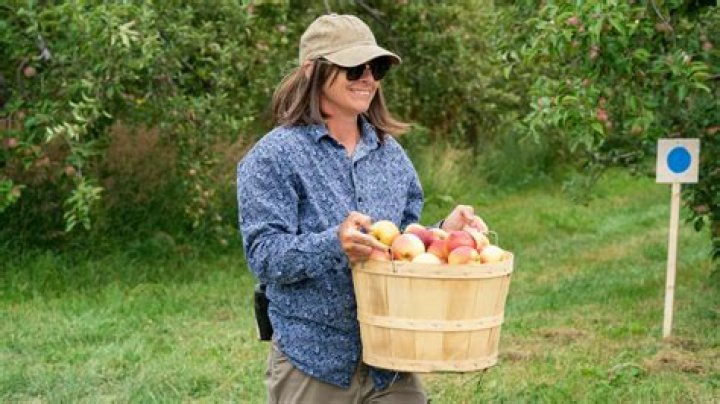 
Were Savage Crew able to win $60,000 bonus cash prize on Tough As Nails? Challenge, arguments and more explored 