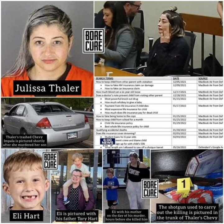 
What did Julissa Thaler do? New charges explored as mom indicted over Eli Hart murder 