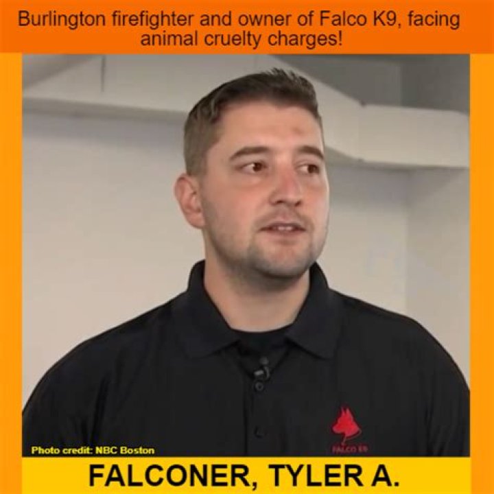 What did Tyler Falconer do? Burlington firefighter animal cruelty charges explored