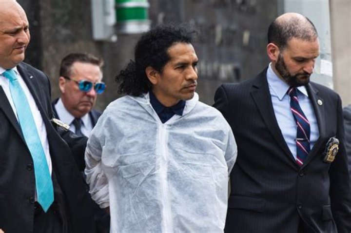 
What Is Orsolya Gaal Murder Suspect David Bonola Age? 