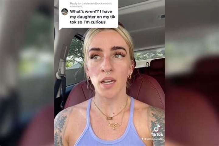 
What Is Wren Eleanor Story? Reddit And TikTok Controversy Drama Explained 