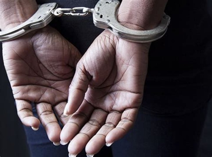 
What Was Emma Coulson Arrested For? Manchester Girl Incident In Leigh Luxury Cat Hotel 