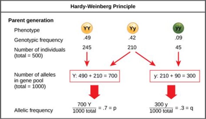 
Who Are Ariela Weinberg Parents Janice and Fred Weinberg? How Much Are They Worth? 
