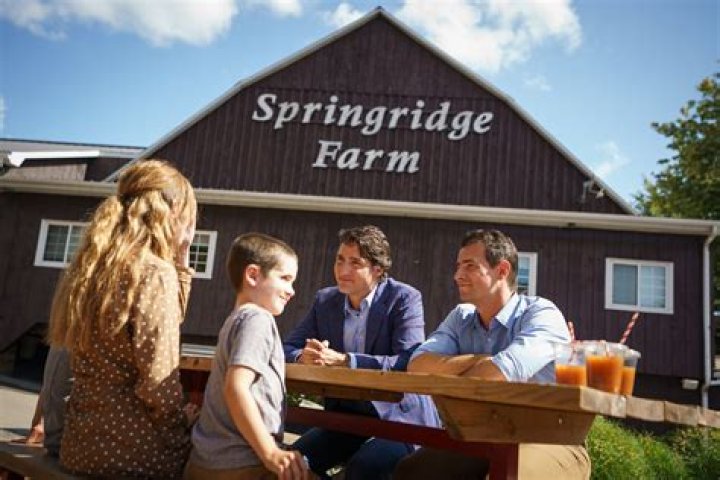 
Who Is Adam van Koeverden Wife? More On His Family Life And Kids 