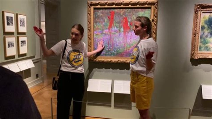 
Who is Emma Johanna Fritzdotter, Swedish activist detained after gluing themselves to a Monet painting 