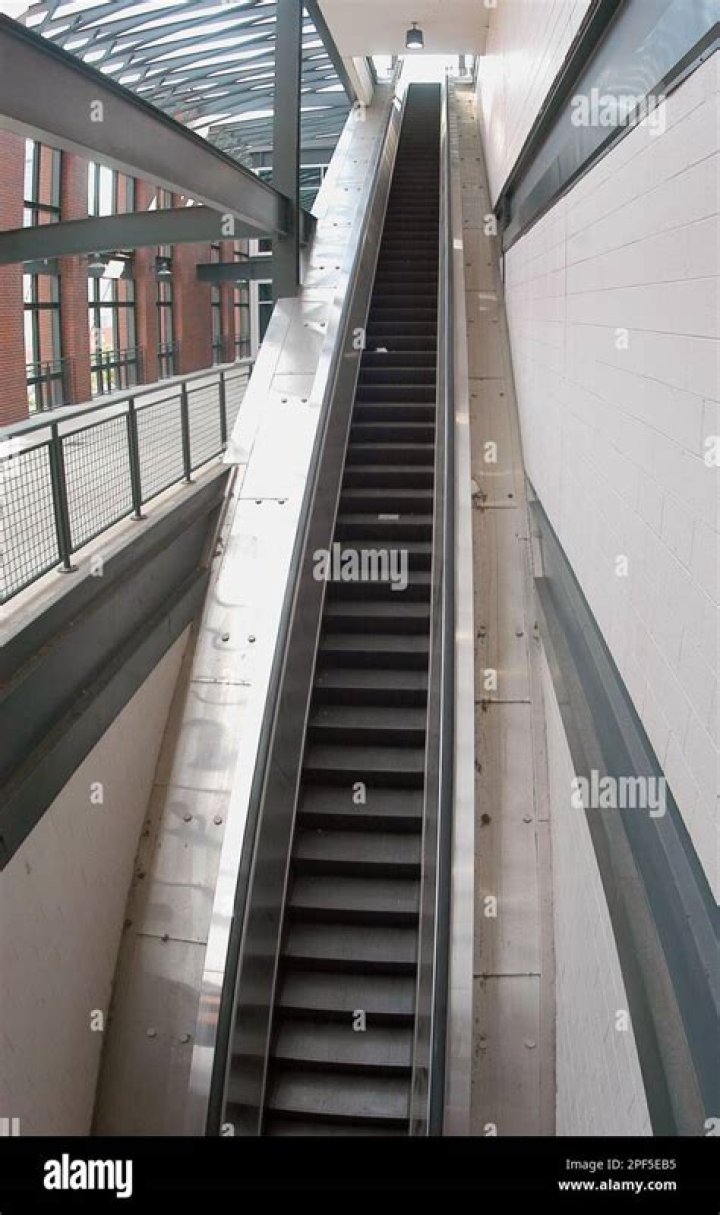 
Who Was Annette Costantini? Stadium Escalator Accident On Baltimore ‐ Cleveland Baseball Game Details 