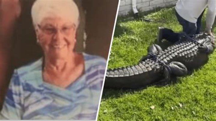 
Who Was Nancy Becker From South Carolina? 88 Years Old Woman Was Killed In Alligator Attack 