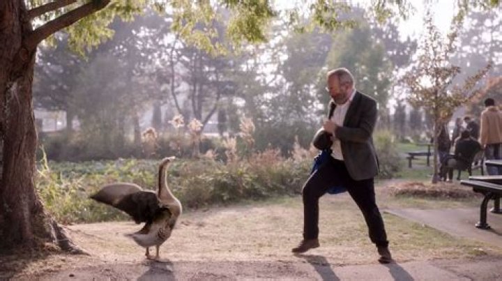 
“Why is Saul Goodman fighting a goose?”: Twitter goes berserk over Bob Odenkirk’s new Lucky Hank trailer 