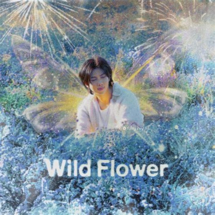 
“WildFlowerhasbeencopied” trends on Twitter after fans find BTS RM’s Indigo title track was plagiarized 