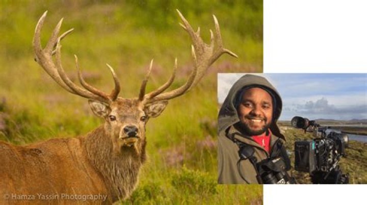 
Wildlife Cameraman Hamza Yassin Personal and Professional Life, What You Need To Know 