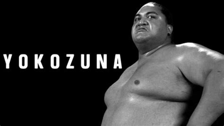 
Yokozuna Cause of Death, How did Yokozuna Die? 