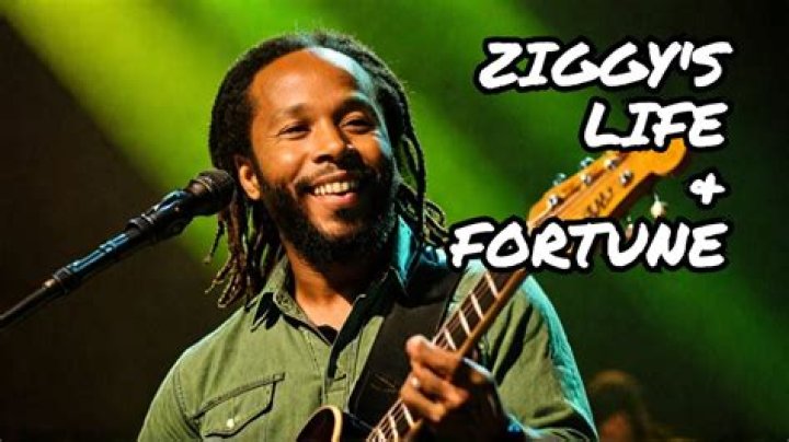 
Ziggy Livnat Net Worth, Age, Birthday, Wikipedia, Who, Nationality, Biography 